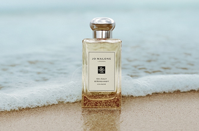 A Fragrância para uma Nova Aventura