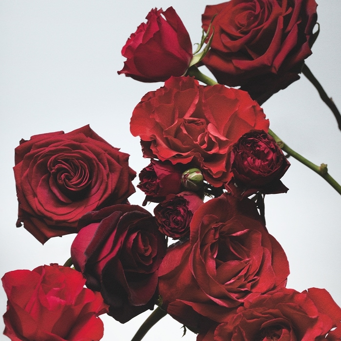 Colônia Red Roses | Jo Malone London | Jo Malone London