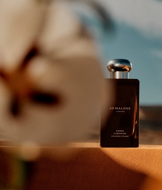 Fragrâncias com Âmbar Estão em Alta