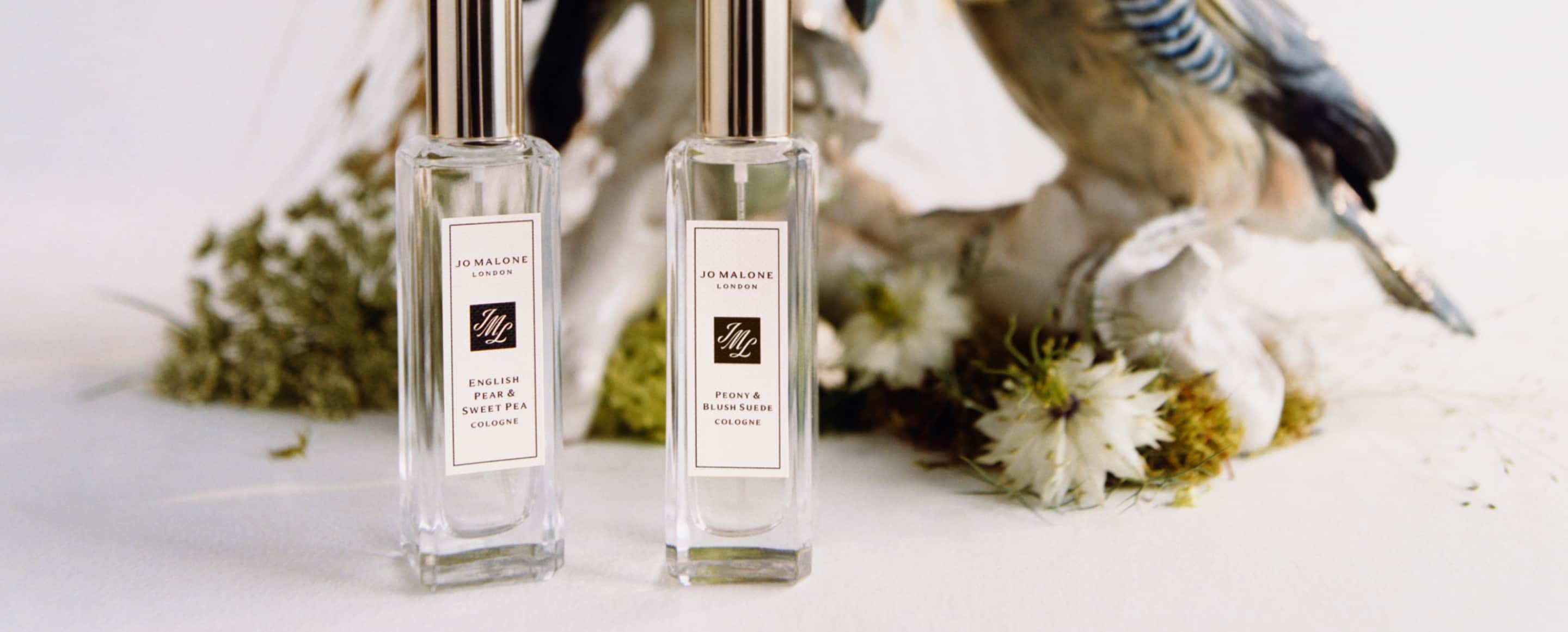 Fragrâncias Para Se Apaixonar