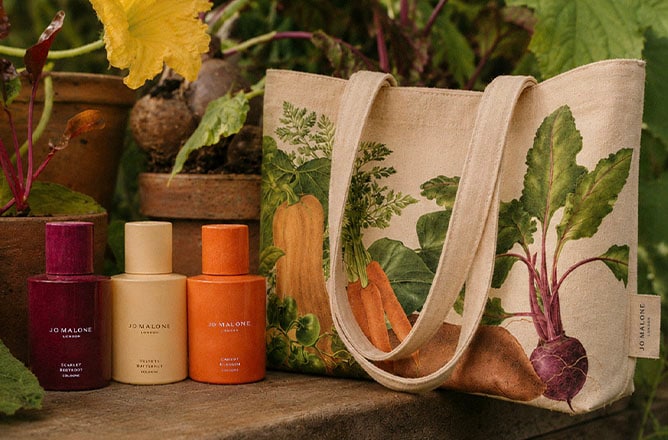 Ganhe Tote Bag Veggies