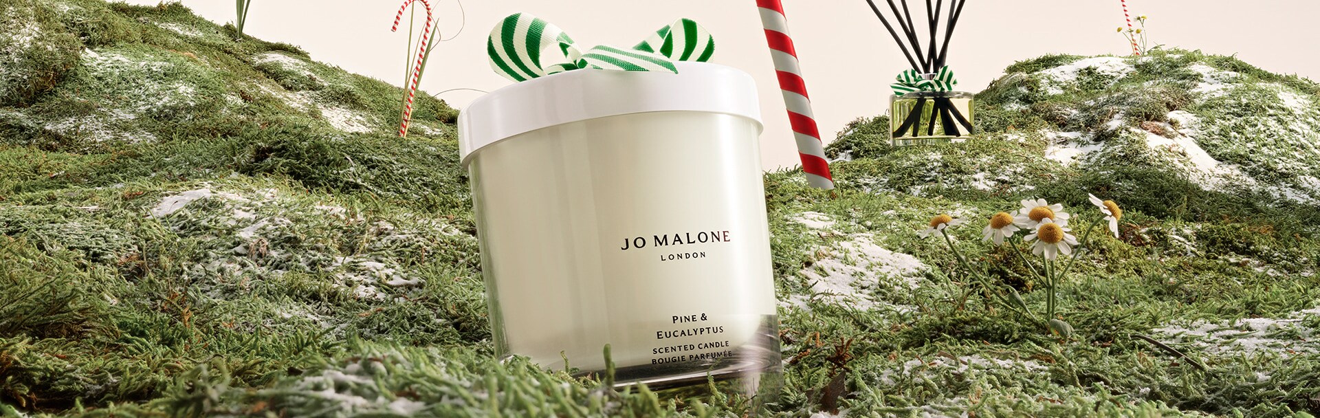 pine & eucalyptus vela e difusor para casa, entre bolas de neve e em uma camada de neve.